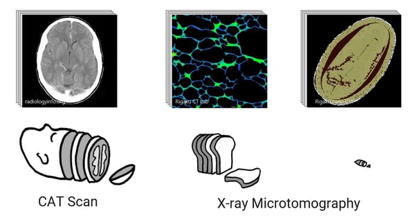 CAT scan and X-ray microtomography-min