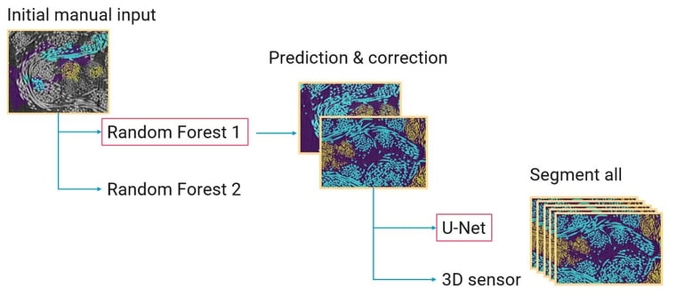 Deep learning process-min