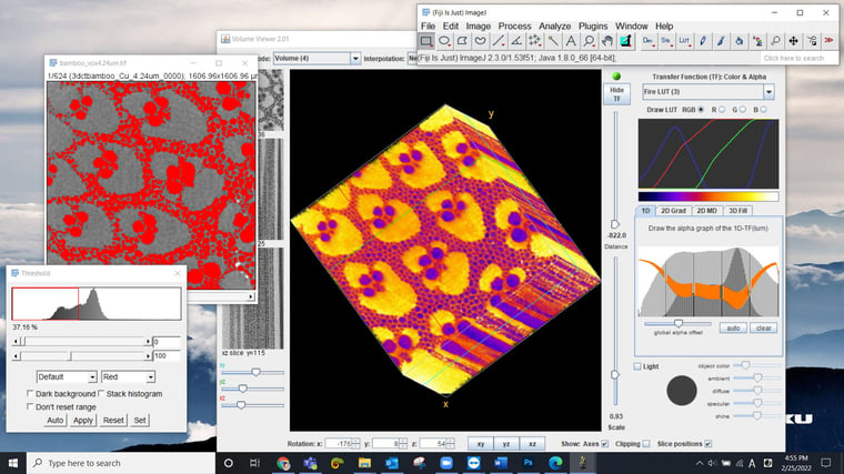 Fiji ImageJ interface