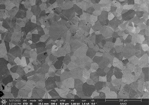 SEM crystal grains