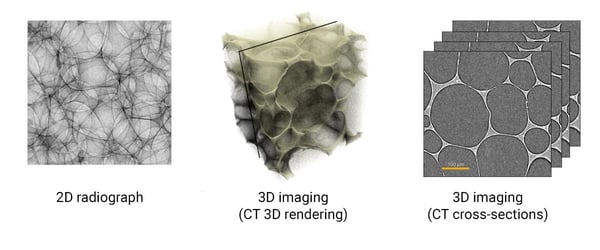 X-ray 2D radiograph and 3D CT-min