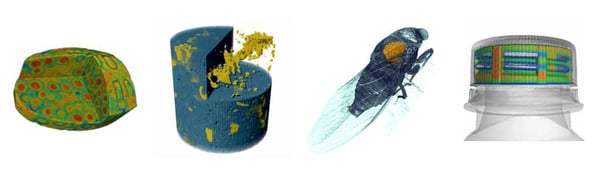 X-ray CT applications - drug table, calcite drill core, insect, bottle cap