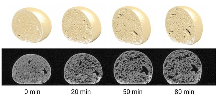 bread dough 4DCT scans