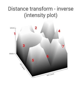 distance transform intensity plot - inverse