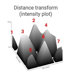 distance transform intensity plot