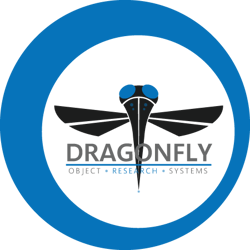 dragonfly-logo-with-company-name