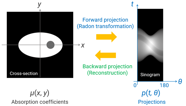 forward and backward projections