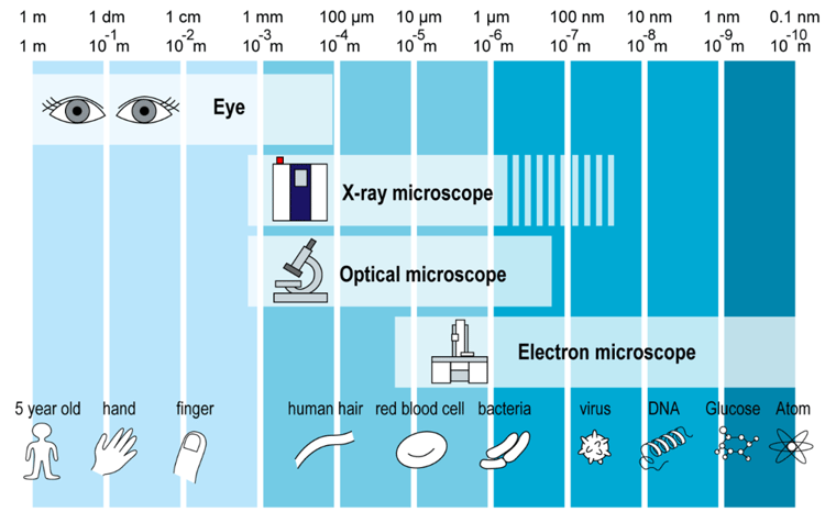 microscope resolution and length scale examples