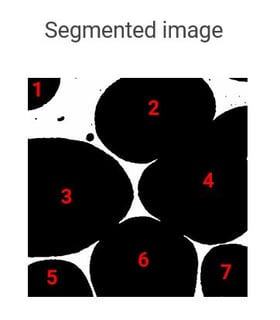 segmented image ready for distance transform