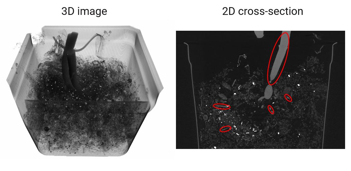 XCT life science application tomato root