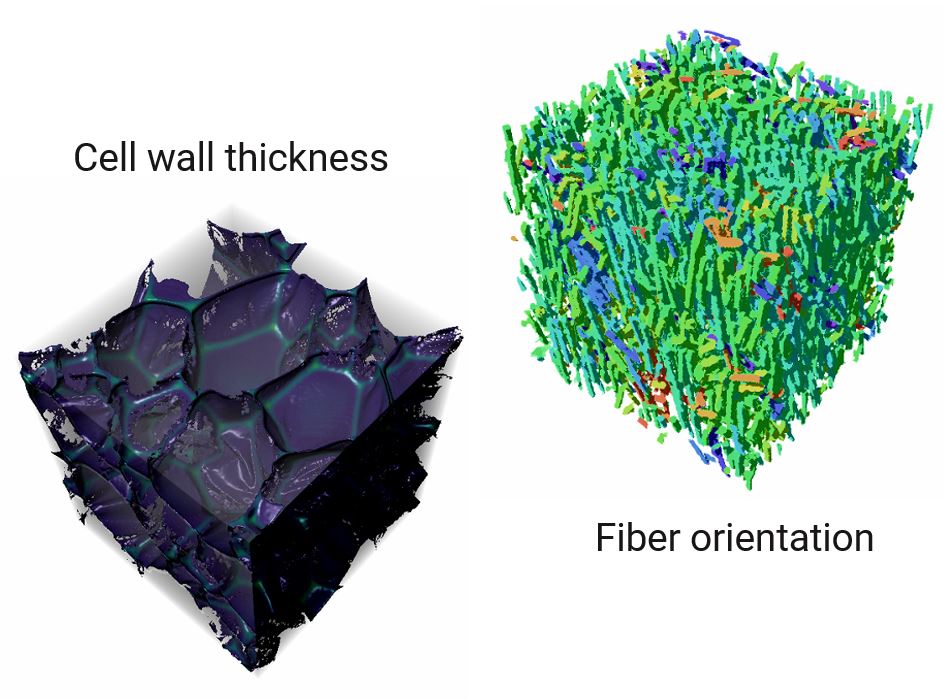 XCT foam and composite application category image cell wall and fiber orientation-min