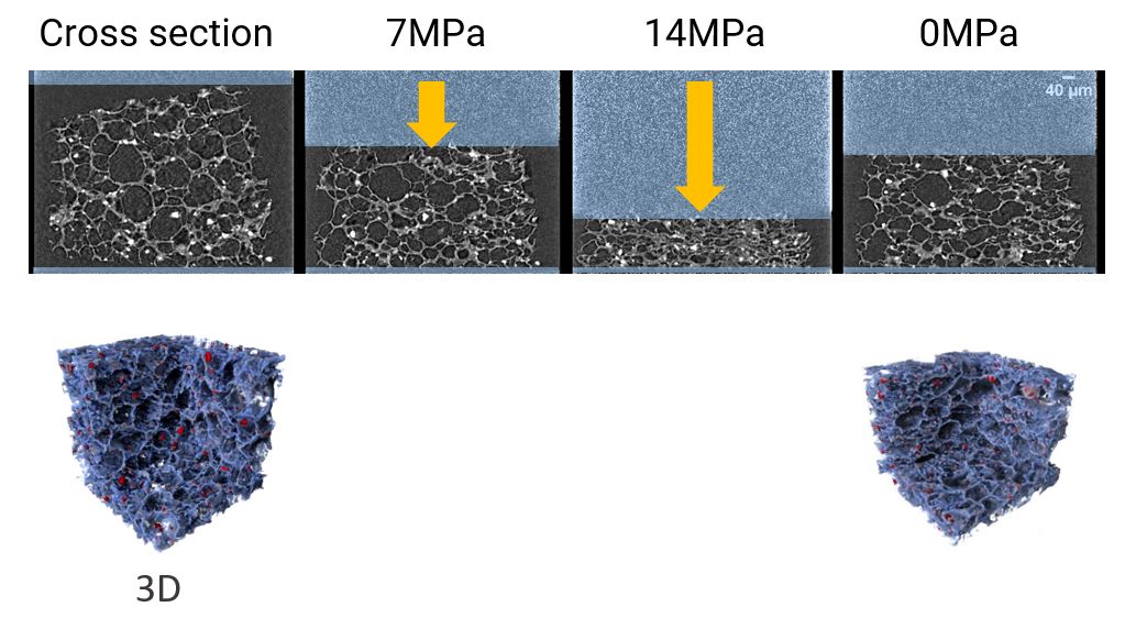 Insole foam X-ray CT cross sections under different compressive stress