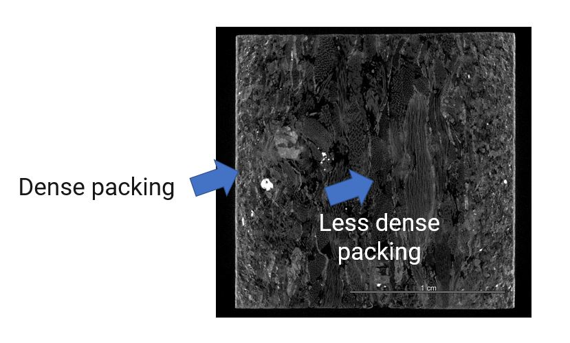 X-ray CT cross-section of a particleboard