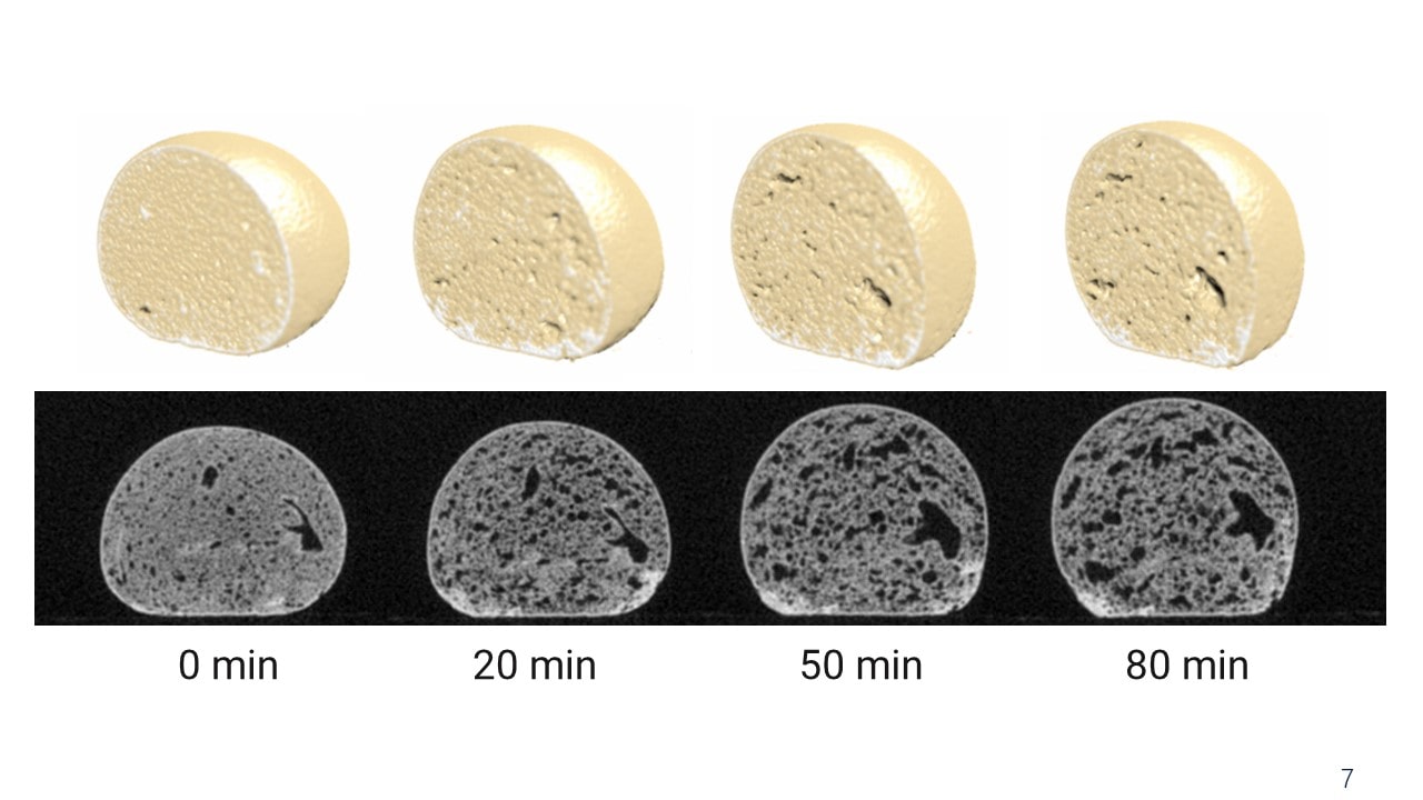 bread dough rising X-ray CT cross sectinos