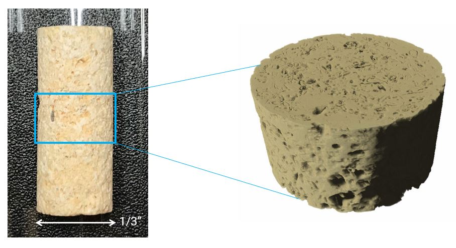 carbonate Edwards Yellow and X-ray CT scan