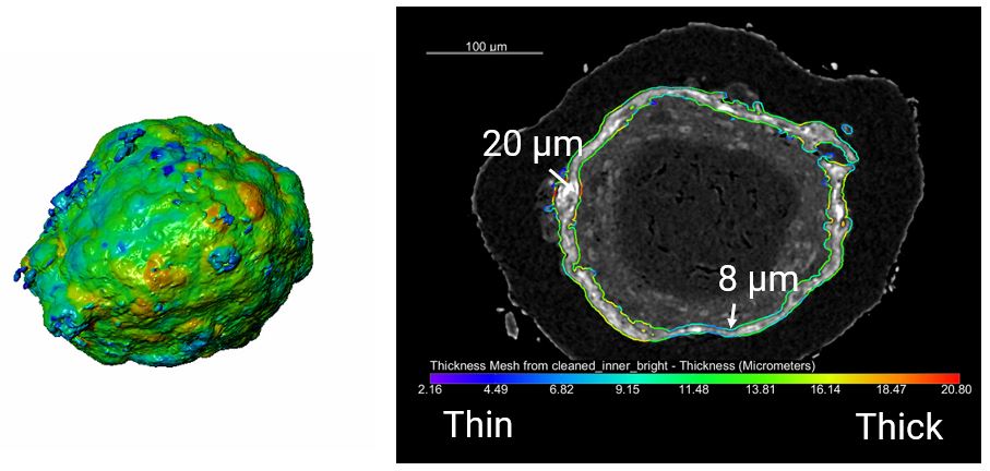 microparticle coating thickness distribution