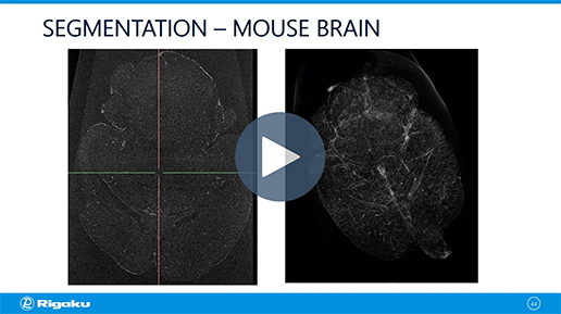 X-ray CT webinar for materials and life science 7-life science applications_516x289